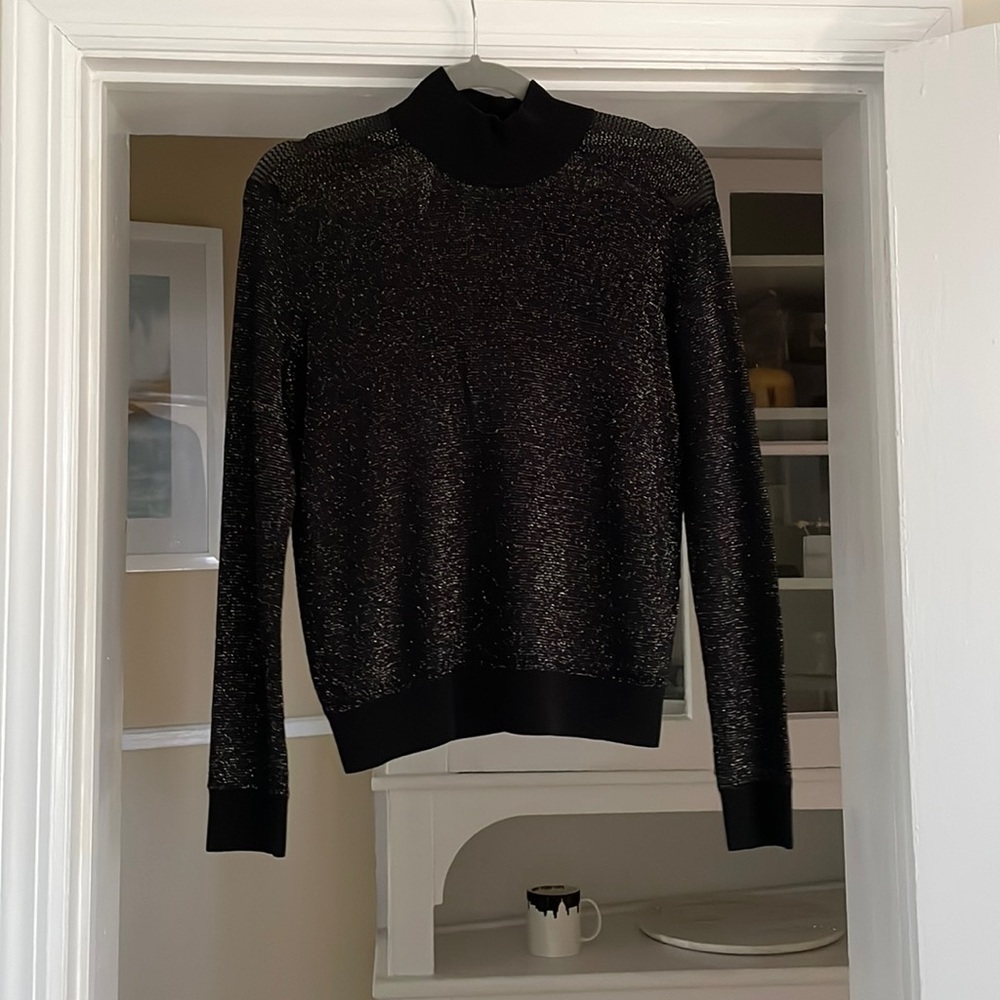Turtleneck. Sheer. Size small.